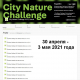          City Nature Challenge