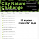          City Nature Challenge