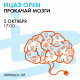            OPEN